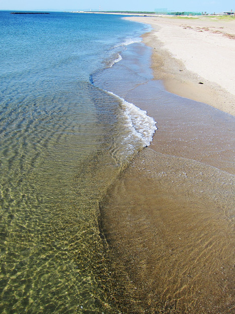 伊良湖海水浴場 写真共有サイト フォト蔵