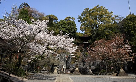 石山寺15