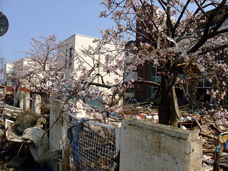 石巻湊中学校