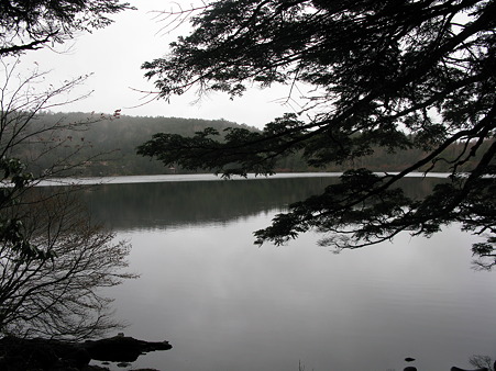 canonyatsugatake 054