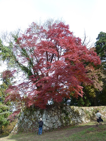 観心寺～高取城 028