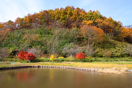 高畠町　まほろばの里歴史公園