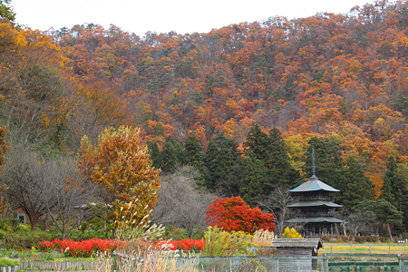 安久津八幡神社三重塔