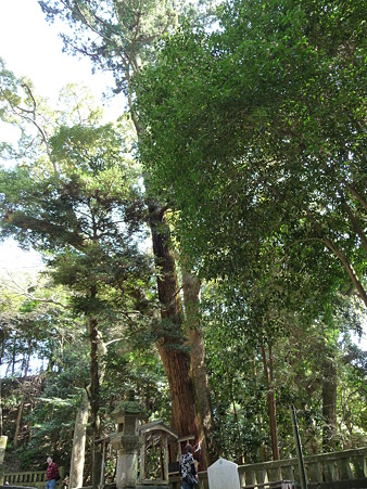 100403-久能山東照宮 (22)