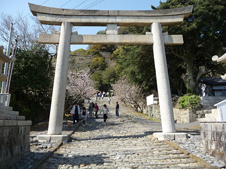 100403-久能山 (151)