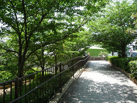100508-鳳翔館-12