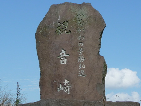 101008-観音崎 (2)
