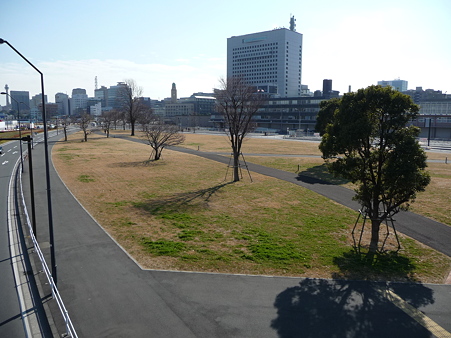 110126-Y150跡地 (6)