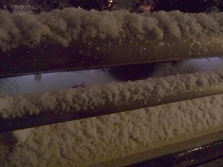 120211-雪降ってきた-2 (3)
