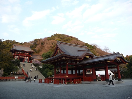 110308-鶴岡八幡宮 (3)
