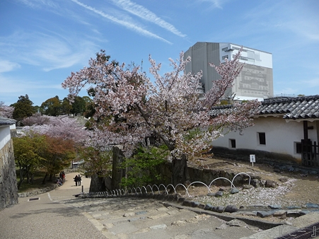110417-姫路城 (189)