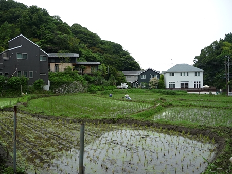 110620-鎌倉(風景) (4)