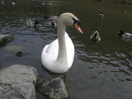 CIMG2834