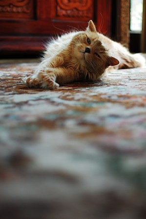 Overheated