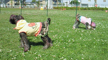 201005161454001