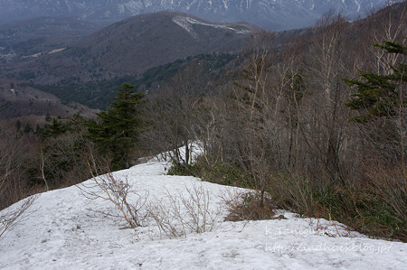 飯綱山登山道