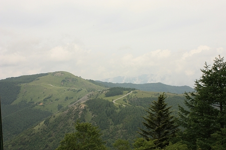 IMG_7298