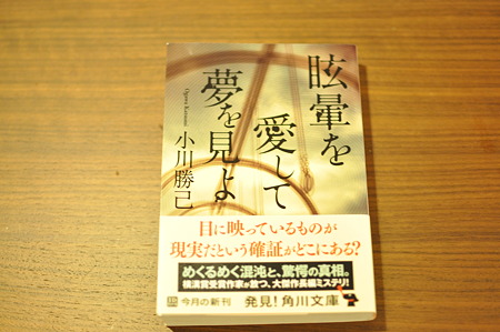 眩暈を愛して夢を見よ
