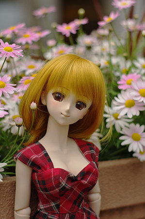 IMGP9141