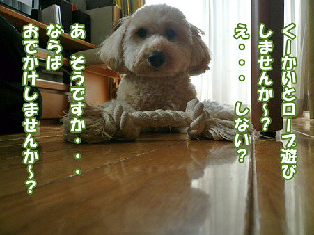 100429 くーかい of the day