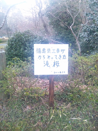 SBSH0082