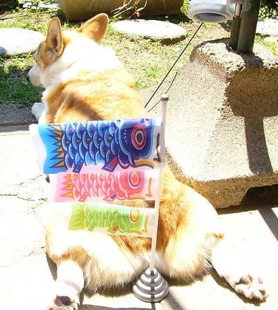 子供の日