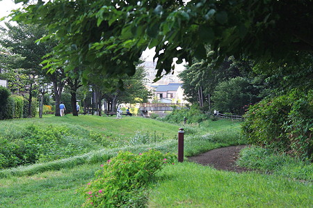 2010.08.12　和泉川　散歩道