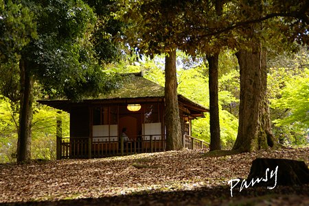 奈良公園にて・・