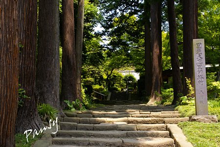 鎌倉建長寺にて・・9