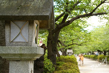 鎌倉 街かど・・1