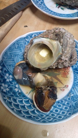 20100804195405