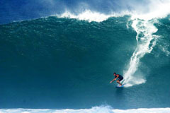 ＳＵＲＦ