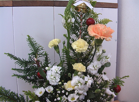 IMGA0522