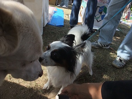 蓮君とご挨拶♪