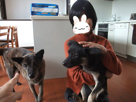愛しそうに・・・