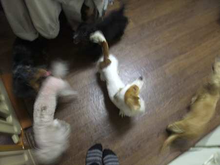 わらわら・・・