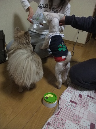 お水待ちの2頭