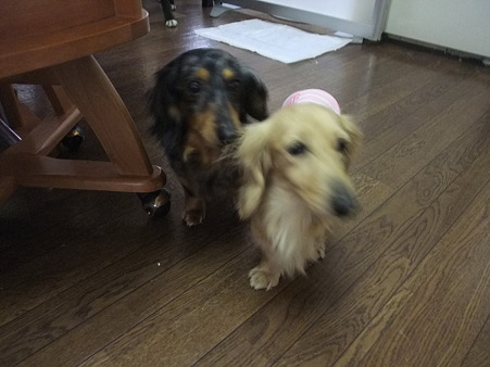 美遊&莉乃久々の再会