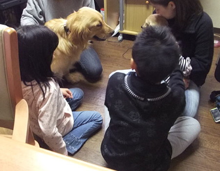誰のお見合いか分からんやん・・・