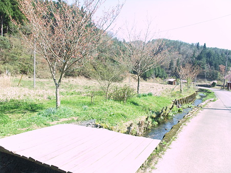 家の前には透きとおった川もあり