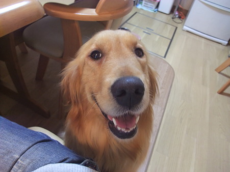 ここがあなたのおうちになるねんよ