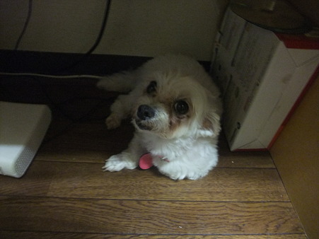 狭くて暗い場所が