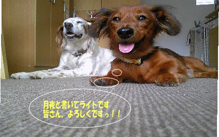 imageらいと3