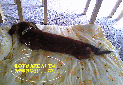 imageらいと4