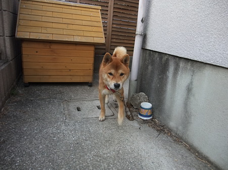 そこにおったんか?!