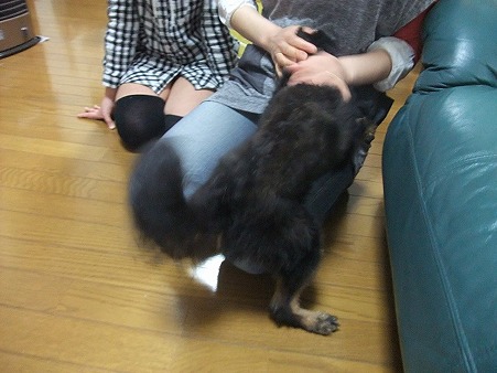 甘える、甘える