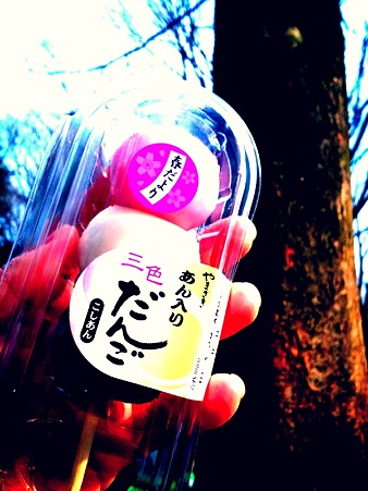 hanami03