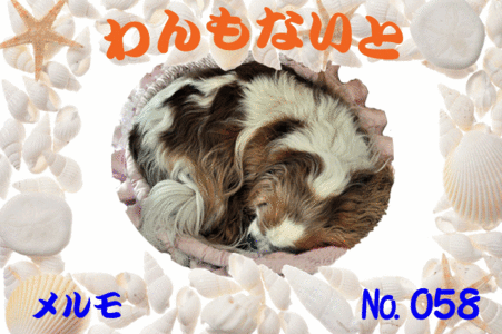 メルモちゃん640×426