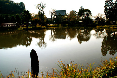 称名寺の晩秋風景!(111123)