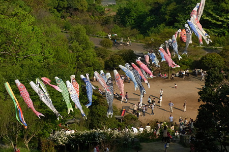 山にも鯉のぼり!